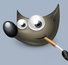Gimp